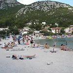 Katica